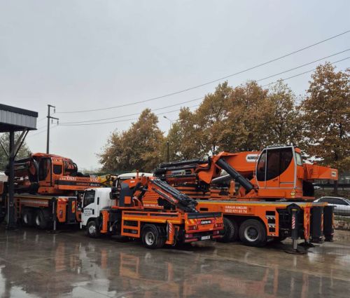 250 Ton Vin Kiralama