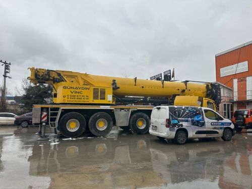250 Ton Vin Kiralama